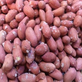 تصویر مغز بادام زمینی آستانه درجه یک Peanuts