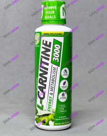 تصویر الکارنتین مایع 3000 نوتراکی - Nutrakey L-Carnitine 3000 