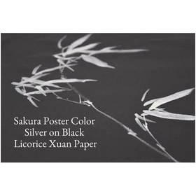 تصویر گواش ساکورا 30 میل (Silver) 