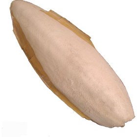 تصویر کف دریا 