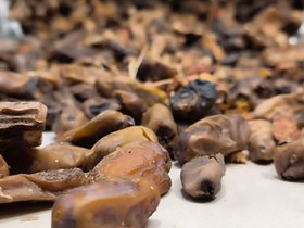 تصویر خرما صنعتی 