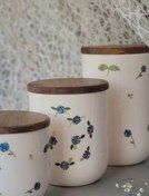 تصویر پاسماوری گلریز 