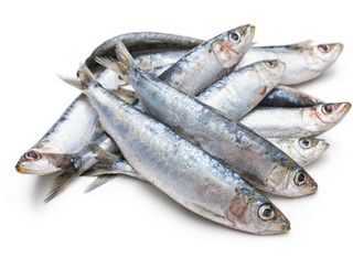 تصویر ماهی ساردین تازه و پاک شده 