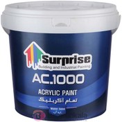 تصویر رنگ تمام آکریلیک سورپرایز (12 کیلویی) SURPRISE 