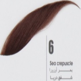 تصویر رنگ ابرو تونی شماره 6 (15‌میل) Tony's eyebrow color No. 6 (15 ml)