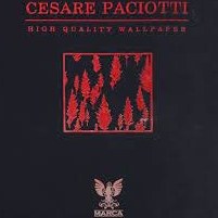تصویر آلبوم کاغذ دیواری سزار پچیوتی CESARE PACIOTTI 