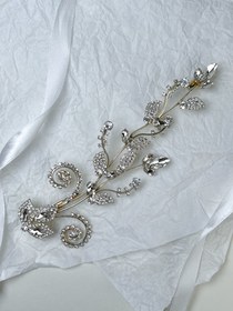 تصویر ریسه مو برگ 