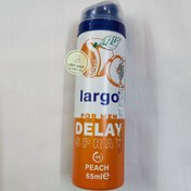 تصویر اسپری تاخیری لارگو رایحه پشن بری حجم 65 میلی لیتر Largo Paspberry Delay Spray Soulution 65ml