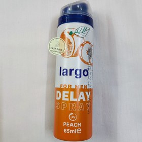 تصویر اسپری تاخیری لارگو رایحه پشن بری حجم 65 میلی لیتر Largo Paspberry Delay Spray Soulution 65ml