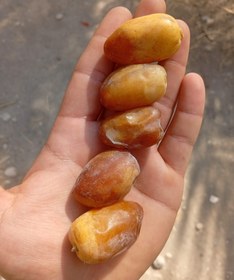 تصویر خرما(رطب) عسلی 