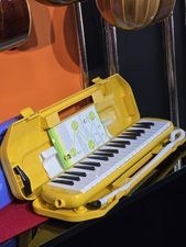 تصویر ملودیکا 37 کلسد bee 