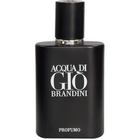 تصویر عطر ادکلن اکوا دی جیو پروفومو مردانه Acqua Di Gio Profumo 