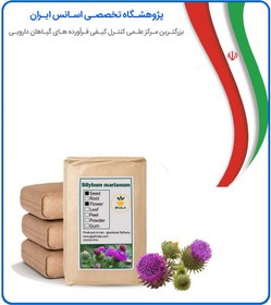 تصویر گیاه خار مریم خشک فله 