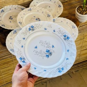 تصویر بشقاب پیش دستی پارس اپال کد ۱۲۰ مجموعه ۶ عددی 