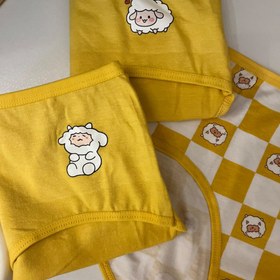 تصویر شورت بره 