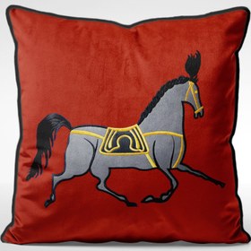 تصویر کوسن طرح هرمس - کد 70113 زمان آماده سازی یک هفته کاری