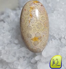 تصویر نگین فسیل مرجان ایرانی 