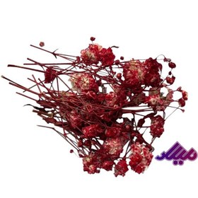 تصویر گل خشک ژیپسو قرمز G50 
