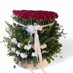 تصویر باکس سایز بزرگ ۲۰۰ شاخه و ارکیده 