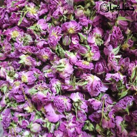 تصویر گل محمدی 