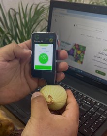 تصویر پیاز زرد ارگانیک 