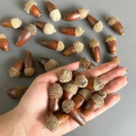 تصویر بسته تزیینات یلدا 