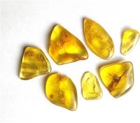 تصویر 10 گرم کهربای بالتیک لهستان اصل پالش شده 