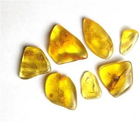 تصویر 10 گرم کهربای بالتیک لهستان اصل پالش شده 