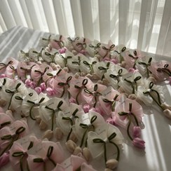 تصویر پاپیون لاله 