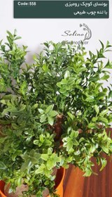 تصویر بنسای مصنوعی رومیزی 