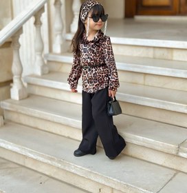 تصویر سه تکه مجلسی پلنگی 