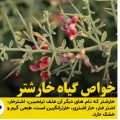 تصویر خارشتر خشک و نرم شده(500 گرمی)خرید مستقیم از تولید کننده 