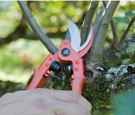 تصویر قیچی هرس شاخه زن آلتونا اسپانیا مدل 074123 Altuna Pruning Shear 0741-23