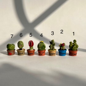 تصویر دکوری کاکتوس - 7 accessory