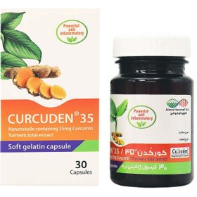 تصویر کپسول نرم کورکدن 35 نانو دارو البرز 50 عدد Alborz Nanomed Tech Curcuden 35 50 Softgels