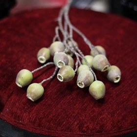 تصویر میوه ازگیل وحشی 