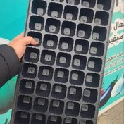 تصویر سینی نشا یک بار مصرف ۷۲ حفره 