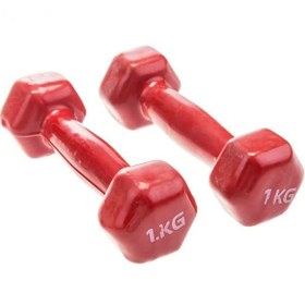 تصویر دمبل ایروبیک رکورد ۱ کیلوگرم بسته ۲ عددی 