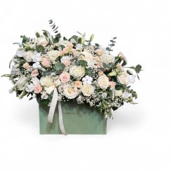 تصویر باکس سفید رسمی 