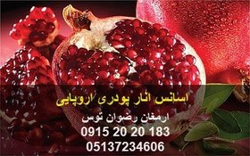 تصویر اسانس انار پودری اروپایی 