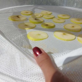 تصویر توری میوه خشک کن 