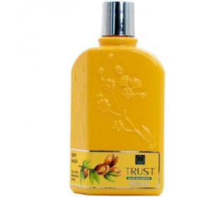 تصویر شامپو سر زعفران تراست TRUST saffron hair shampoo