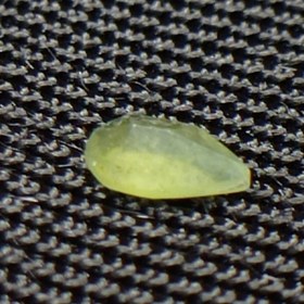 تصویر جواهر دمانتوئید D51 