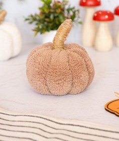 تصویر کدو تدی کوچک قهوه ای 