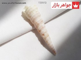تصویر نگین صدف زیبا کد 139912 