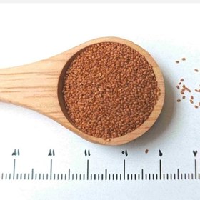 تصویر خاکشیر 100 گرم 