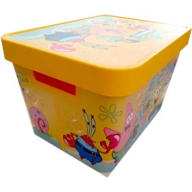 تصویر باکس نظم دهنده کودک 