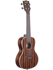 تصویر Kala Ebony Concert Ukulele With Bag 