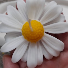 تصویر شمع بابونه 