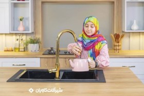 تصویر شیر ظرفشویی کاویان مدل لارا طلامات Kavian dishwasher faucet Lara model